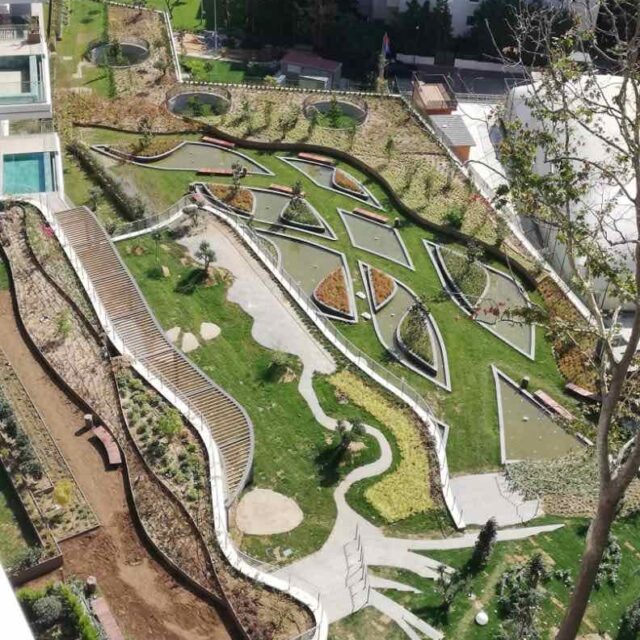 WhatsApp Image 2025-01-16 at 13.38.56 (1)