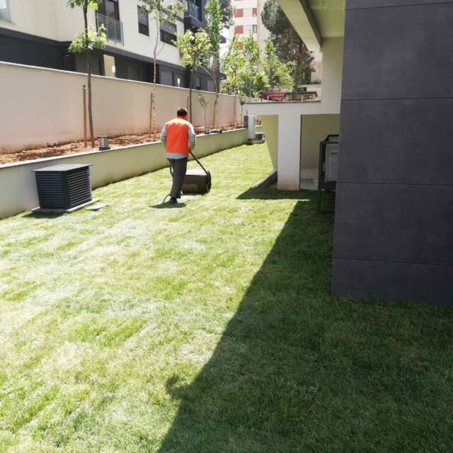 WhatsApp Image 2025-01-16 at 13.39.03 (1)