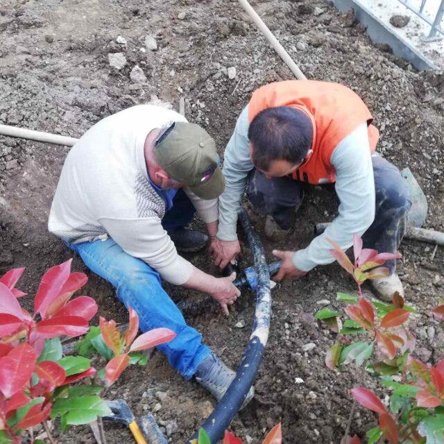 WhatsApp Image 2025-01-16 at 13.39.04 (2)