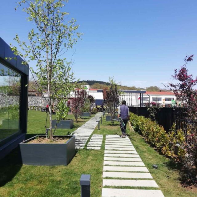 WhatsApp Image 2025-01-16 at 13.39.05 (1)