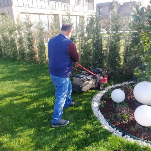 WhatsApp Image 2025-01-16 at 13.39.13