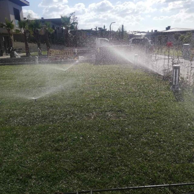 WhatsApp Image 2025-01-16 at 13.39.27