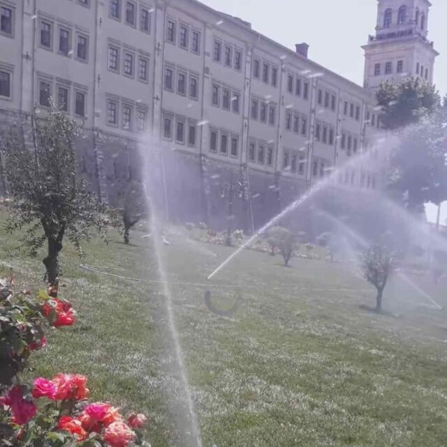 WhatsApp Image 2025-01-16 at 14.11.01