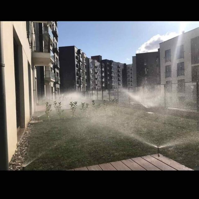 WhatsApp Image 2025-01-16 at 14.19.08 (1)