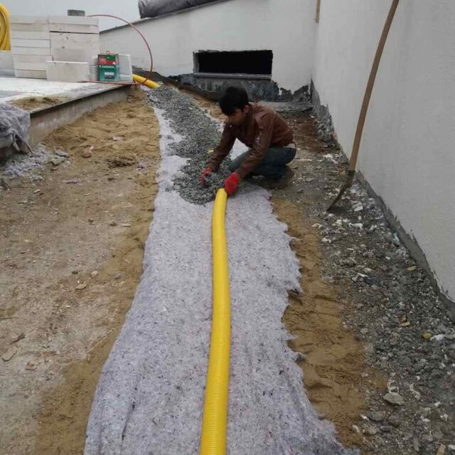 WhatsApp Image 2025-01-16 at 14.19.09 (4)