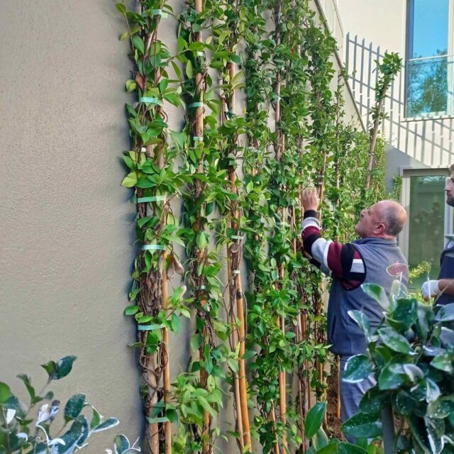 WhatsApp Image 2025-01-16 at 14.25.26